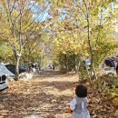 조성면사무소 화장실 2층 | 서울인근 캠핑장 몬테비얀코 웻자켓 이지캠핑 2층 숙소 후기