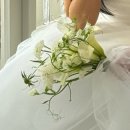 사계플라워 - 관악구 은천로 119-1 | 사계플라워