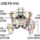 배상문프로 백스윙 골반턴 이미지