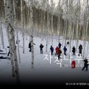 농부네민박 | 에코 힐링 캠프 &#39;자작나무 숲으로의 초대&#39;