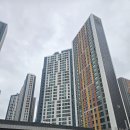 신흥초교 | 포항탄성코트업체 대잠자이 탄성코트 시공 후기