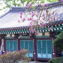 광산구-054 네이버블로그