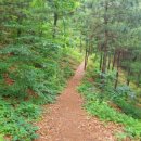 사육신묘 산책로 이미지