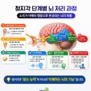 설재현 | 발달장애의 언어와 인지발달이 느린 이유와 근본적 치료조건은?