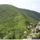 2013년 8월25일(일)요일 강원도 인제군 방태산 깃대봉-미산계곡(자연휴양림) 이미지