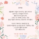마이살롱 이미지