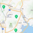 신암 은행나무길 이미지