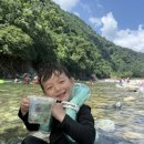 무주계곡오토캠핑장 | 서울근교 가평 계곡 캠핑 구름계곡오토캠핑장 물놀이 후기