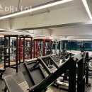 헬스 매니아 이미지