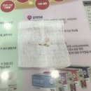 광주첨단YB동물병원 | 광주 동물병원추천 첨단 마음동물병원 스케일링 치석제거 후기. 내돈내산 2