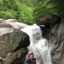 계곡이야기 이미지