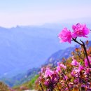 공작산비룡펜션 이미지