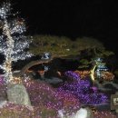 별빛속으로 이미지