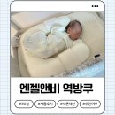 “엔젤앤비 역류방지쿠션” 50일 실사용 후기