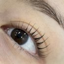 뷰티앤브로우 | 강남논현역속눈썹펌 잘하는 곳 [은브로우앤뷰티] CI컬 후기