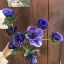 세느앤발렌 이미지