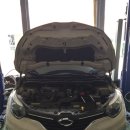 애니카랜드 공도점 이미지