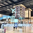 후쿠오카 공항 국제선 리뉴얼 식당(푸드코트) 면세점 드럭스토어