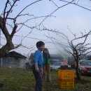 유성농장 4농장 이미지