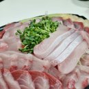 철마상회 | 노량진수산시장 대방어 시세 전남상회 회 포장 가격