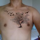 남성반점 이미지