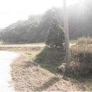 숲속의 계곡 이미지