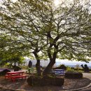 사우쓰캘리 이미지