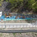 도래재자연휴양림(밀양) | 전자휴 밀양 도래재 자연휴양림