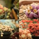 자동차정비마을공업사 이미지