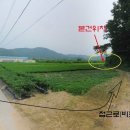 여주-0439 Daum카페