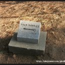 용호1동 체육공원 이미지