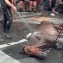 뉴욕공인중개사사무소 이미지