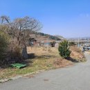 운천역공인중개사사무소 이미지