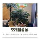 쏭쏭이네 | 다산키즈카페 모래알쏭쏭 남양주모래놀이 후기