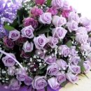 식품의약품안전청 이미지