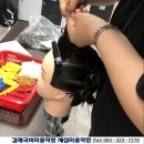 예심헤어