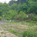 유장농장 이미지