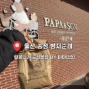 파파앤썬