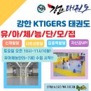 동아대 강한 태권도 Daum카페