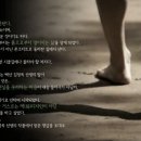 에코디자인연구소 이미지