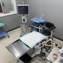 남원동물병원 | 남원동물병원? 고양이 각막궤양에 대해 보호자분들이 알아두셔야 하는 사항