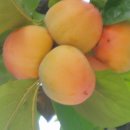 알뜰식품점 이미지