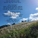 필산악회 10월5일 - 정선 민둥산(우리나라 100대명산) 많은 신청 부탁드립니다. 감사합니다.. 이미지