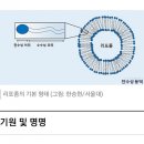 인셀덤 퍼스트패키지-처음 시작하는 그대에게