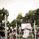 양가고기마을 이미지