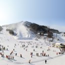 웰리힐리파크 이미지