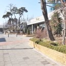 트리마제공인중개사사무소 이미지