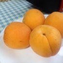 행림원 이미지