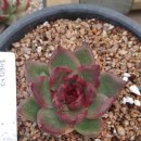 원앙슈퍼 이미지