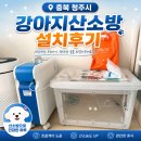 충북산소 | 충북 청주시 강아지 산소방 설치후기｜폐수종이 있는 포메라니안을 위해 대여해주셨어요